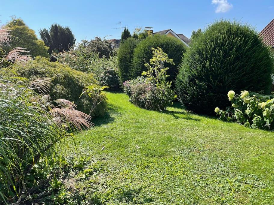 Mit Terrasse Und Garten In Seenaehe