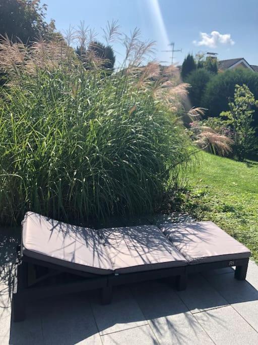 Mit Terrasse Und Garten In Seenaehe *